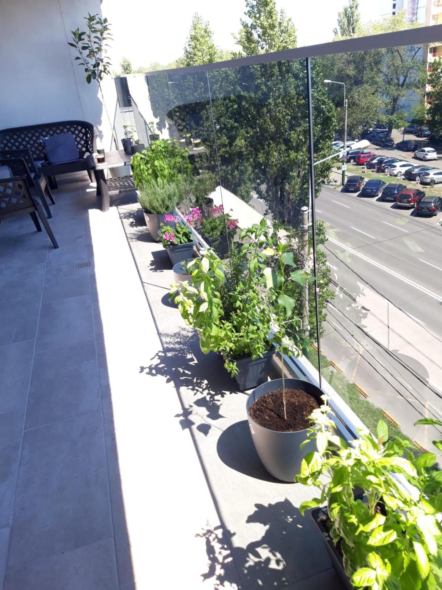 Elysse Sunrise Apartment Mamaia Extérieur photo
